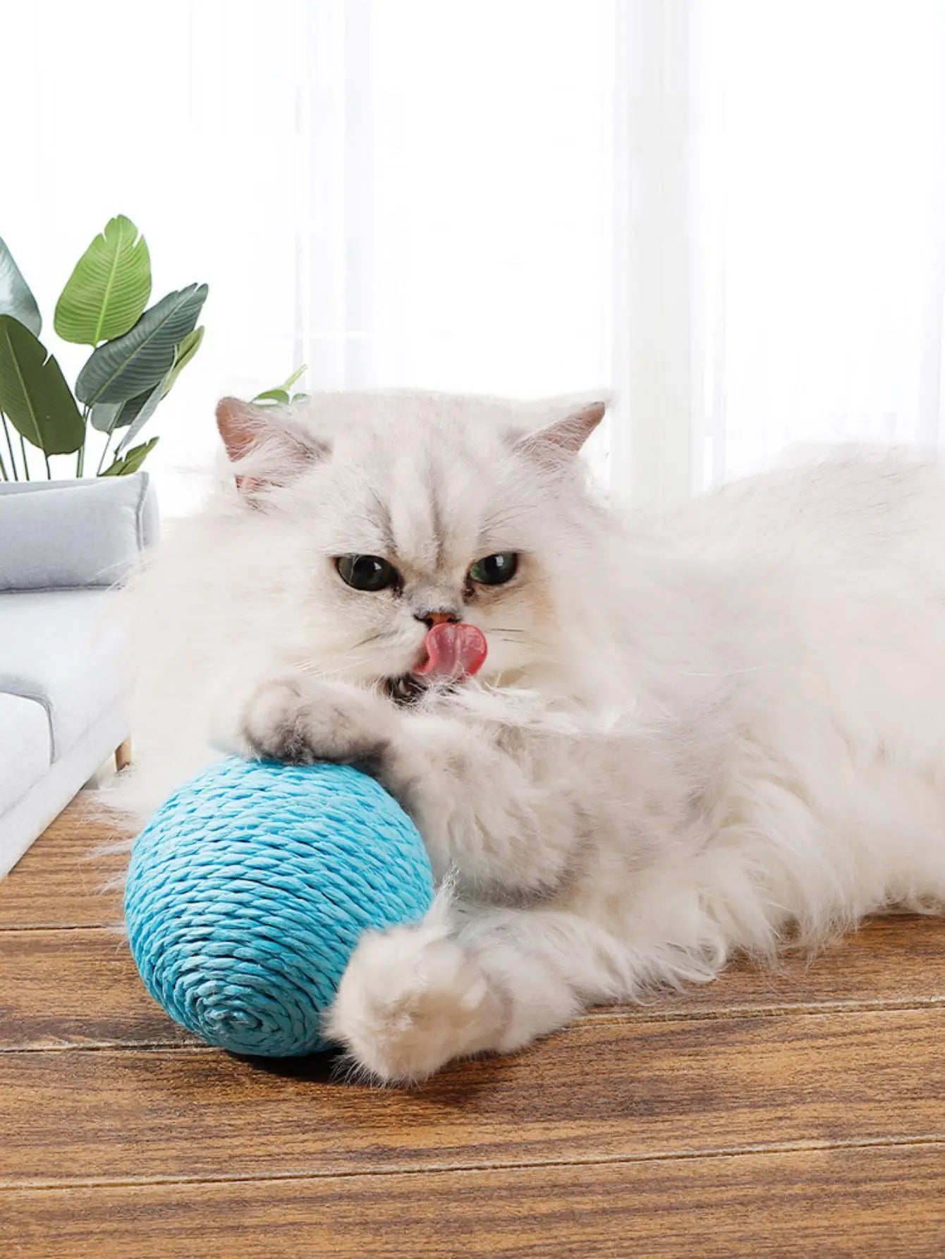 Balle en Sisal pour Chat – Griffoir Sonore Antigriffures 10cm