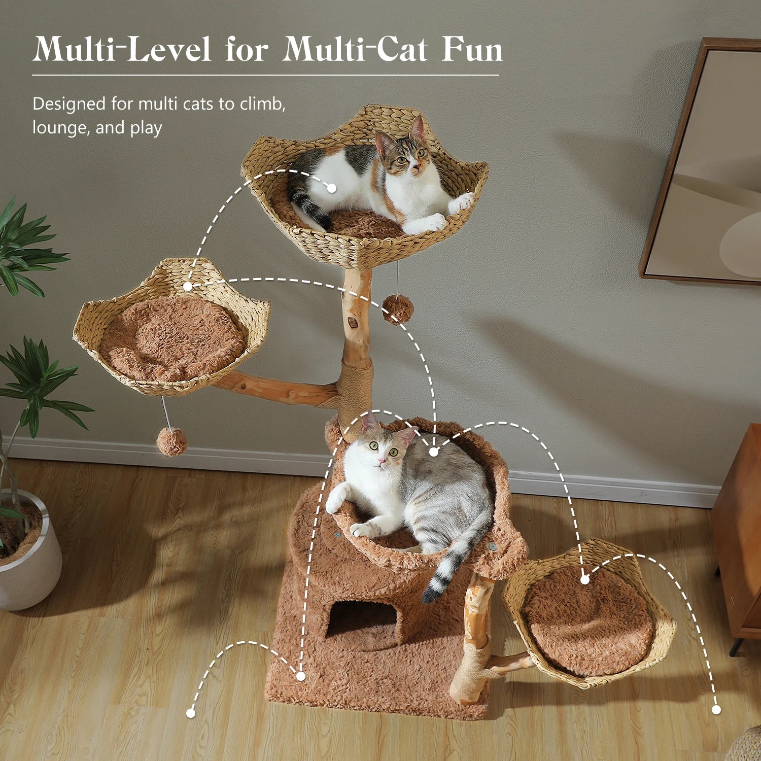 Arbre à Chat Multi-Niveaux avec Griffoirs & Couchages