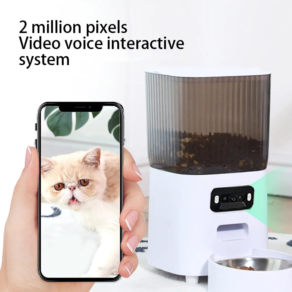 Distributeur automatique 5L blanc avec caméra, bol pour chat et trémie fumée transparent