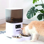 Distributeur automatique 5L blanc avec caméra et deux bols inox, trémie brun fumée