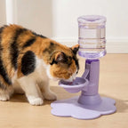 Fontaine à eau pour chat gravitaire, base violette et réservoir transparent