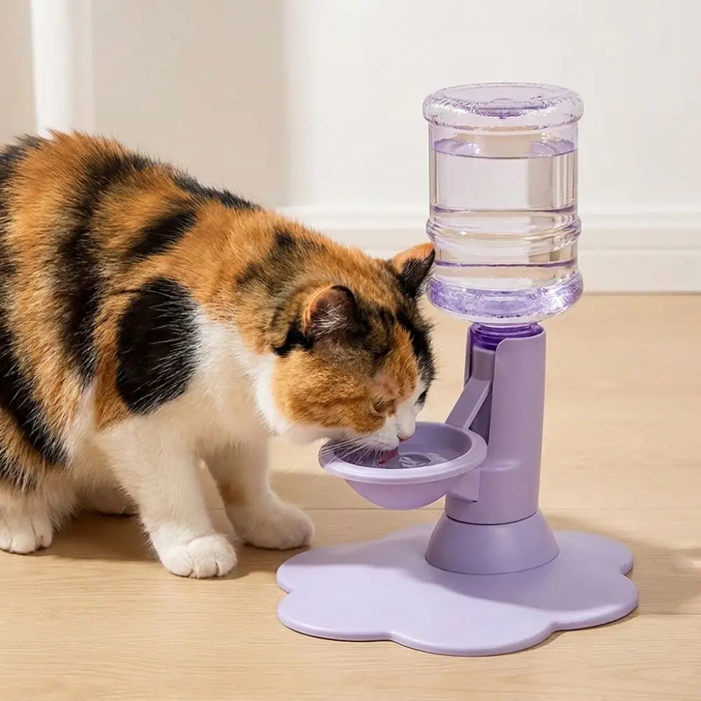 Fontaine à eau pour chat gravitaire, base violette et réservoir transparent