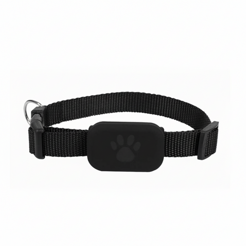 Collier de suivi GPS noir avec module rectangulaire et icône patte sur sangle réglable