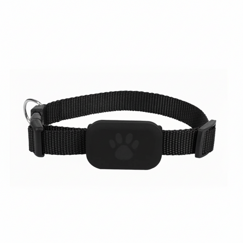 Collier Traceur Chat – Compatible Apple Localiser (iPhone), Sans Abonnement
