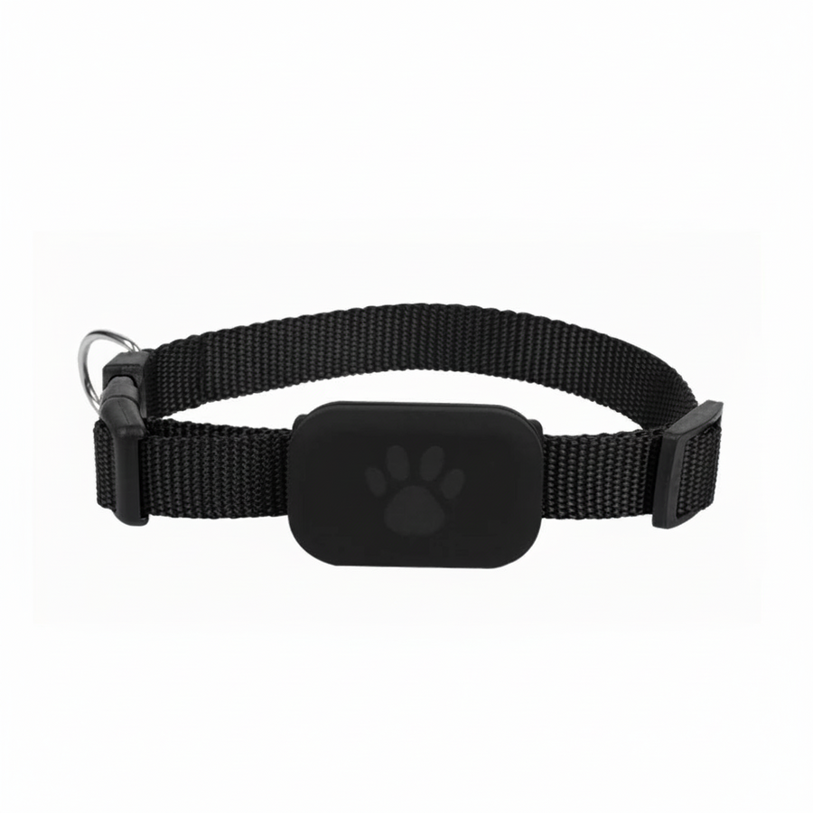 Collier de suivi GPS noir avec module rectangulaire et icône patte sur sangle réglable