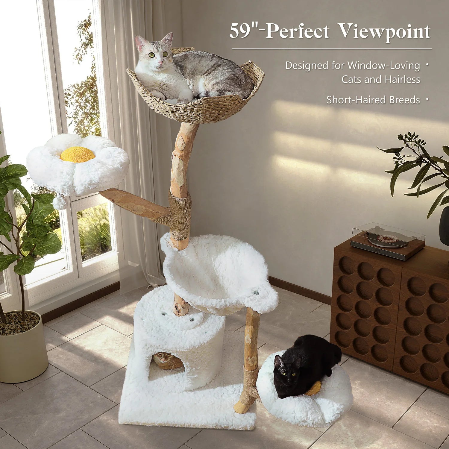 Arbre à Chat Multi-Niveaux avec Griffoirs & Couchages