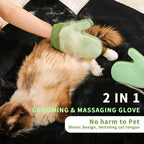 Gant de toilettage double face vert, à picots, utilisé sur chien poil roux.