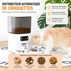 Distributeur automatique de croquettes avec caméra et double gamelle pour chat