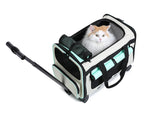 Chat dans sac de transport à roulettes noir et blanc, fenêtre avant en maille
