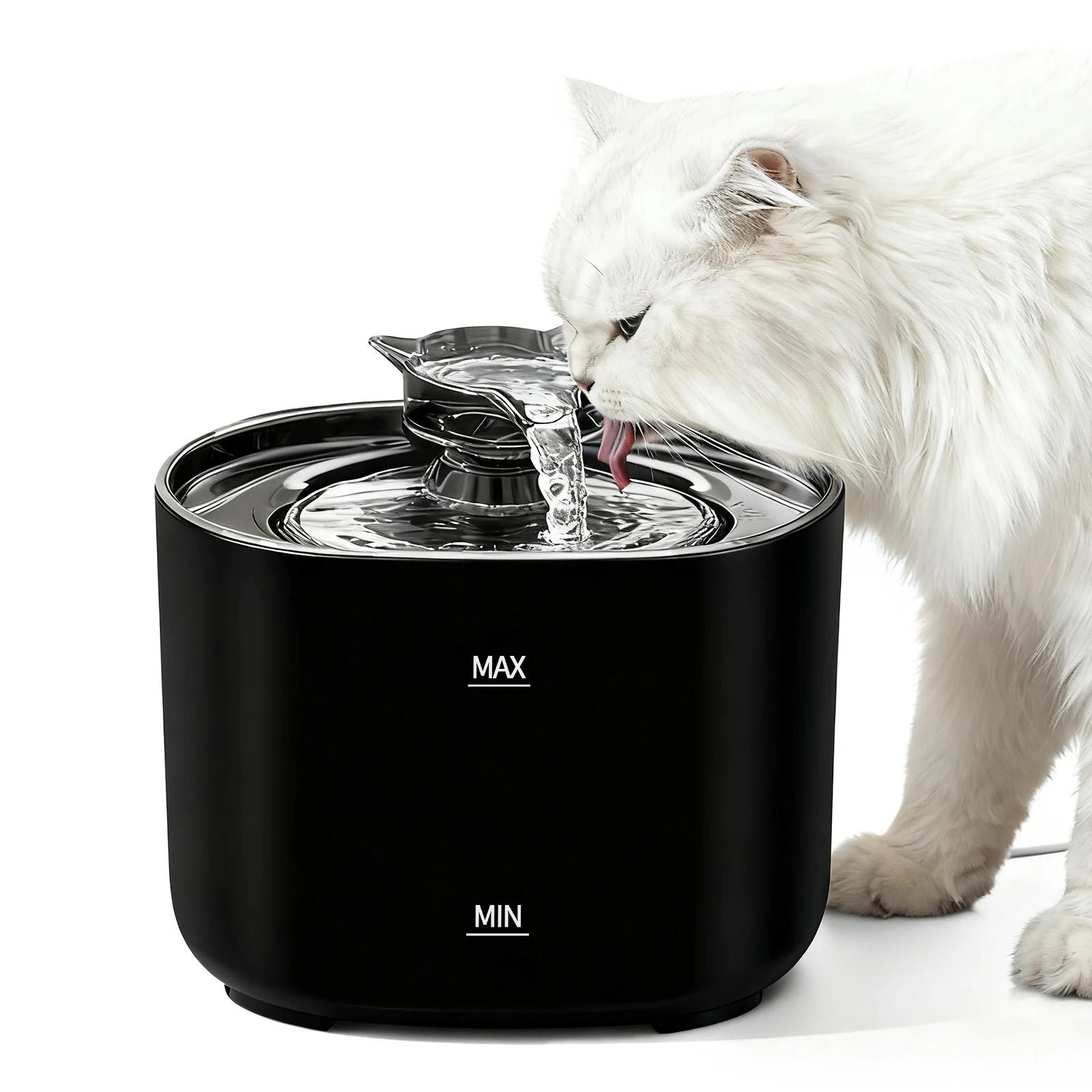 Fontaine à eau pour chat noire, bol circulaire, eau qui coule, chat buvant