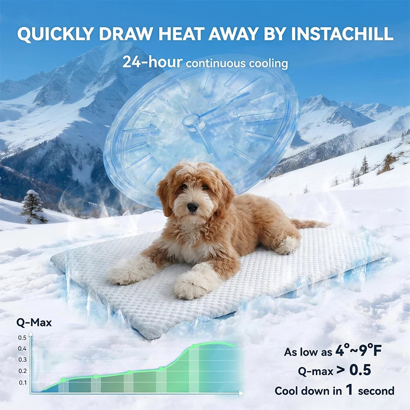 Tapis Rafraîchissant Chat & Chien — Été