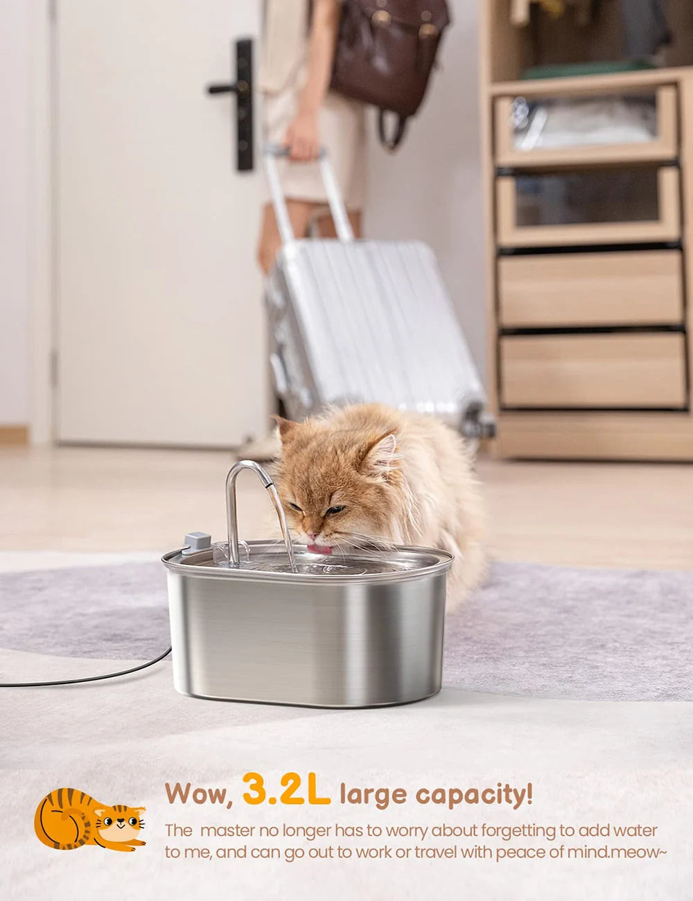Fontaine à eau pour chat en inox : bol rempli, un chat boit au robinet.