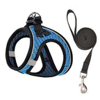 Harnais en mesh bleu et noir pour chat, avec laisse et anneaux métalliques