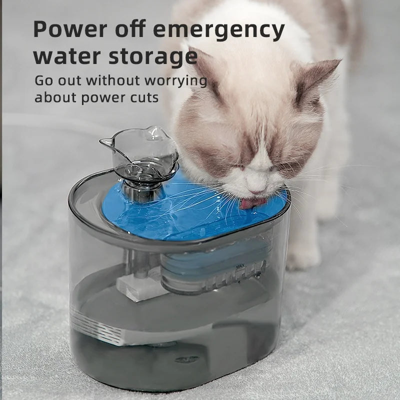 Fontaine à eau pour chat avec réservoir transparent, eau bleue dans le bol