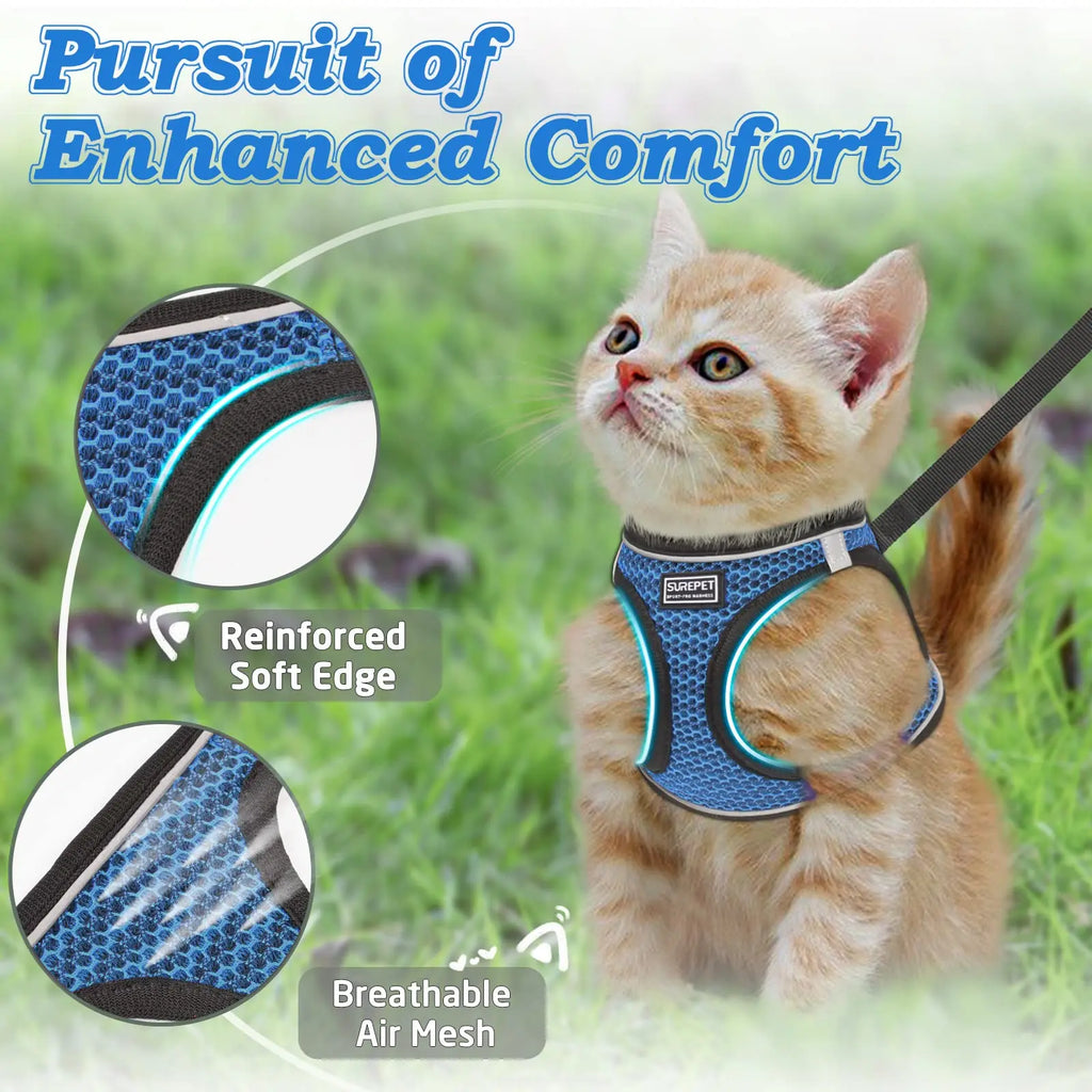 Harnais respirant en mesh bleu pour chat, bords renforcés, avec laisse