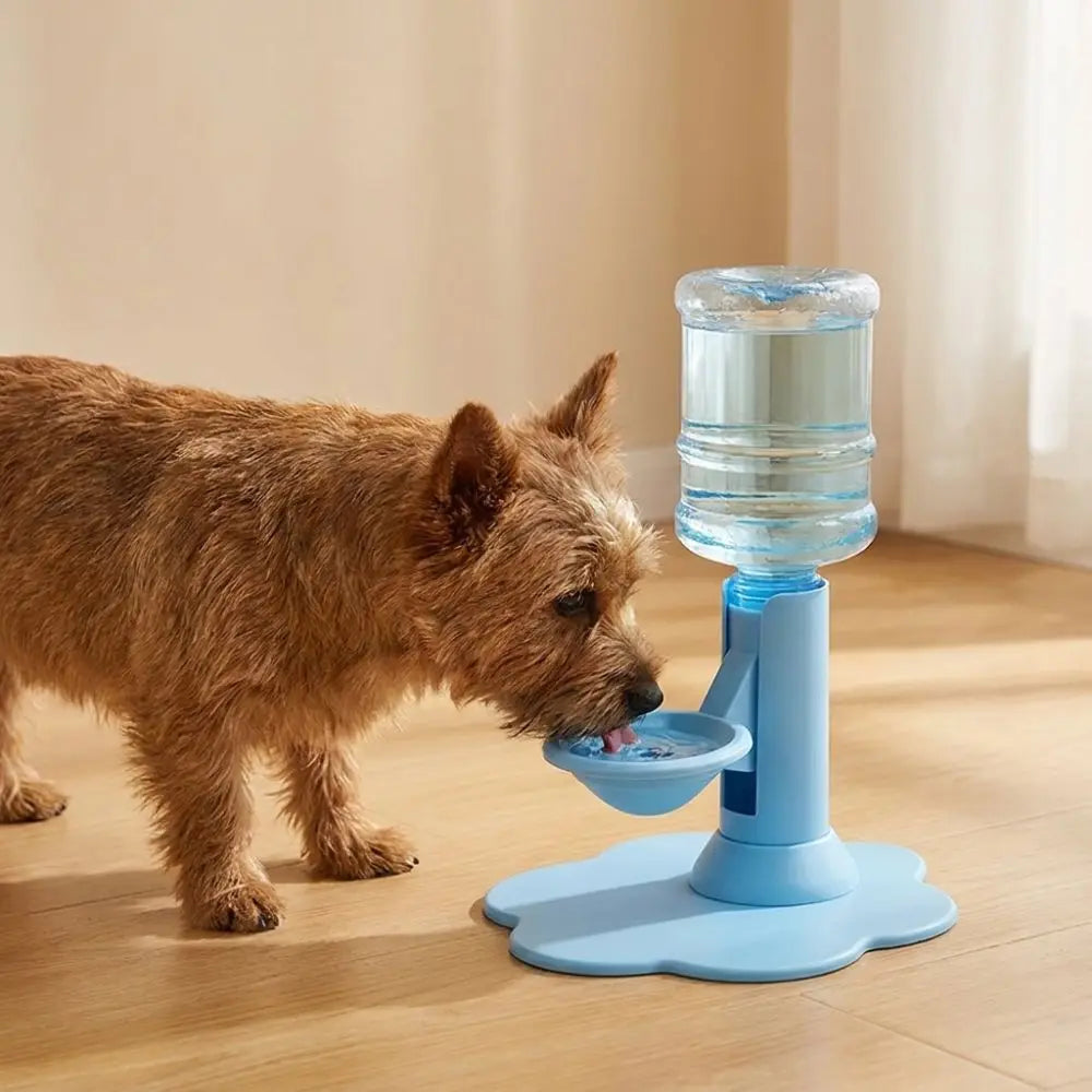 Fontaine à eau pour chat gravitaire, base bleue et bol