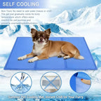 Tapis rafraîchissant bleu pour chien, surface lisse, chien allongé dessus.