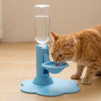 Fontaine à eau pour chat gravitaire, base bleue avec réservoir transparent