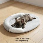Tapis rafraîchissant ovale gris clair avec coussin cervical, deux animaux endormis sur la housse