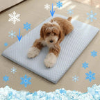 Tapis rafraîchissant bleu clair, motif flocons, chien couché.