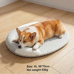 Coussin ovale gris pour chien et chat, texture nid d’abeille et cale-tête