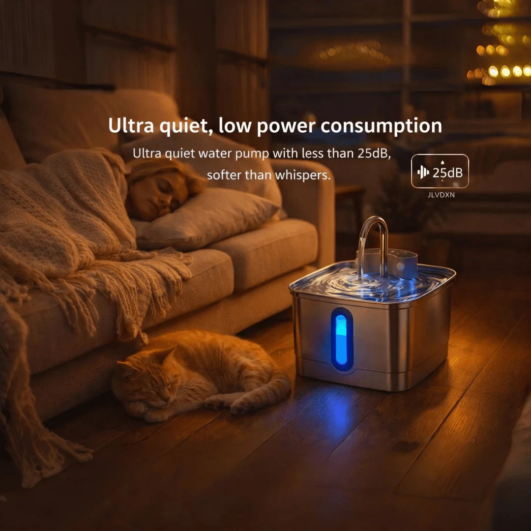 Fontaine à eau inox pour animaux avec robinet et témoin lumineux bleu, nuit
