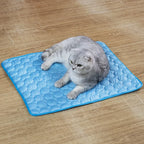Tapis rafraîchissant pour chat et chien bleu, relief en bulles, chat gris allongé dessus