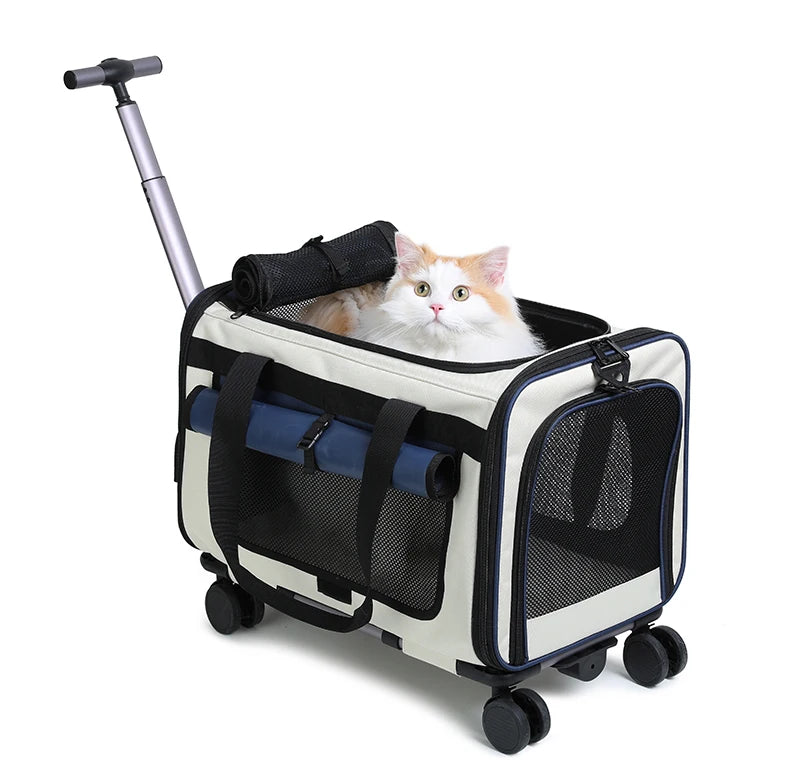 Sac de transport à roulettes pour chat, noir et blanc, sangles bleues, fenêtre mesh