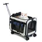 Sac de transport à roulettes pour chat, noir et blanc, sangles bleues, fenêtre mesh
