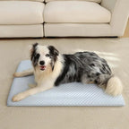 Tapis rafraîchissant pour animaux bleu clair, surface alvéolée, chien allongé dessus