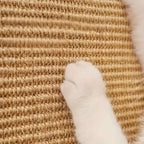 Surface du tapis grattoir en chanvre naturel, tressage serré pour griffer