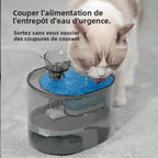 Fontaine à eau pour chat avec réservoir transparent, eau bleue et pompe visibles