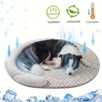 Tapis rafraîchissant ovale gris pour chien et chat, mousse mémoire, effet frais