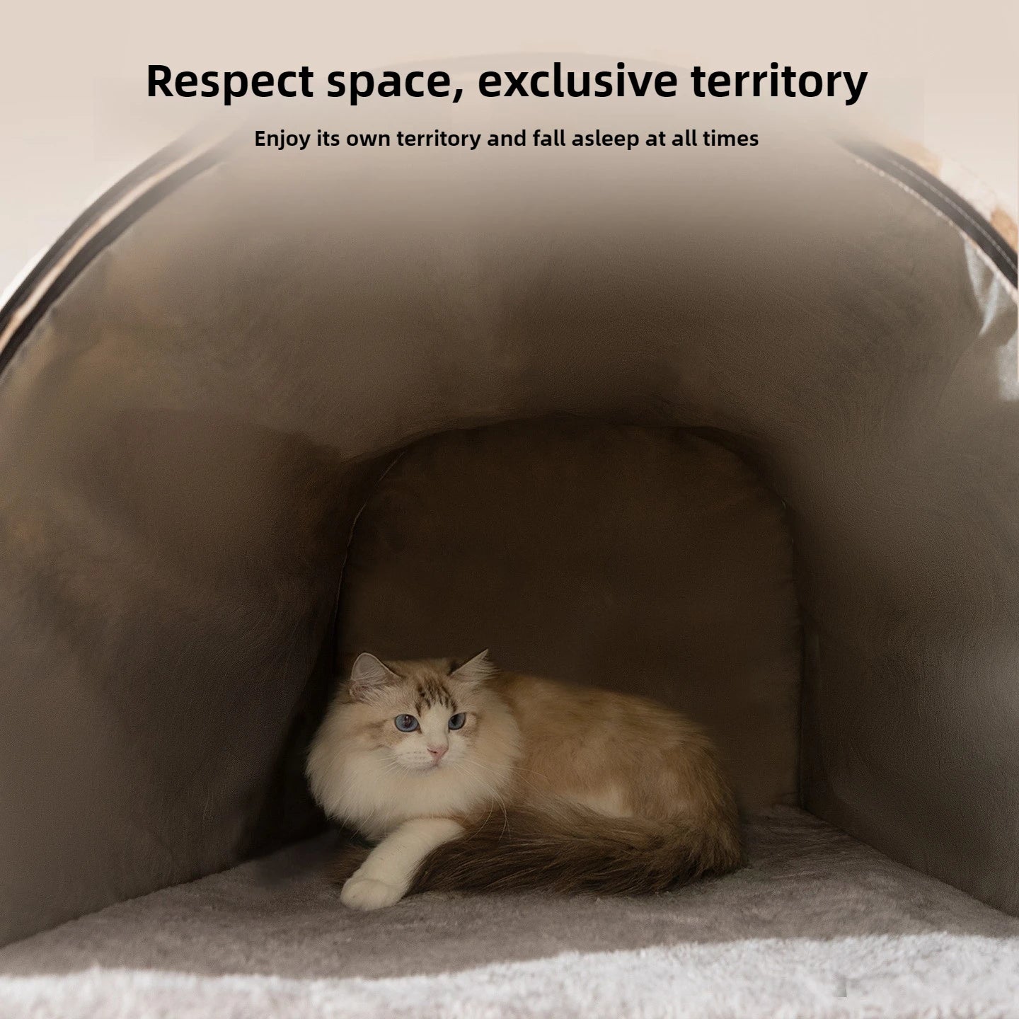 Intérieur de la Maison chat fermée forme tente - refuge confortable toutes saisons