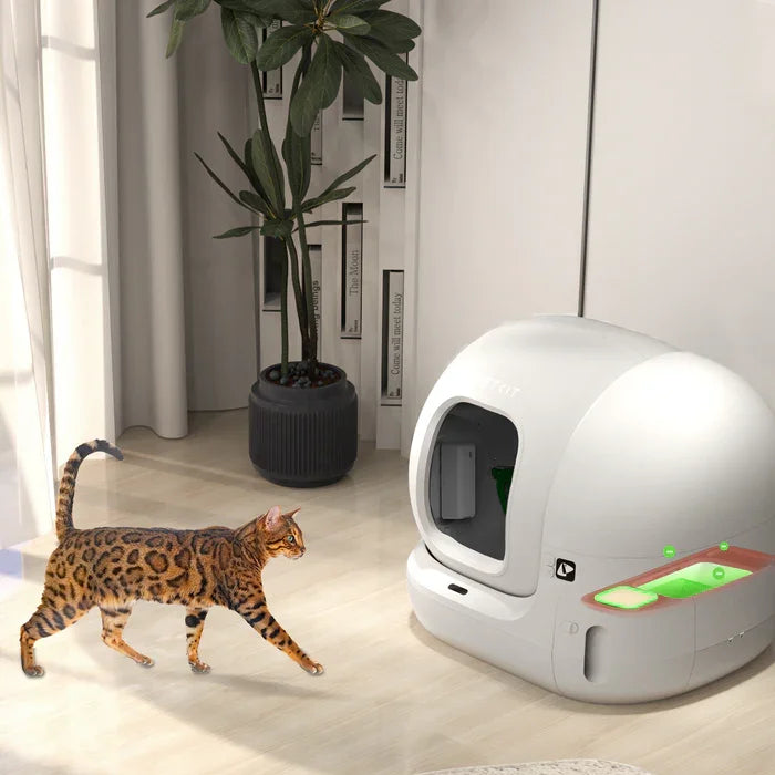 Désodorisant PETKIT N50 2.0 pour litière Pura Max – recharges anti-odeurs