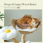 Multi-Level Cat Tree with Scratching Posts & Sleeping Areas