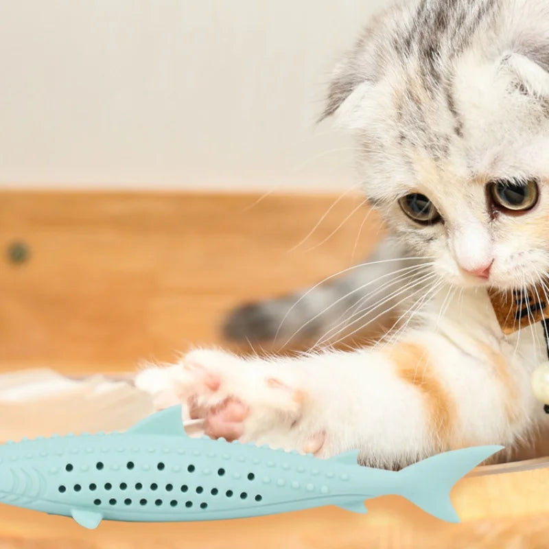 Jouet requin à mâcher pour chat