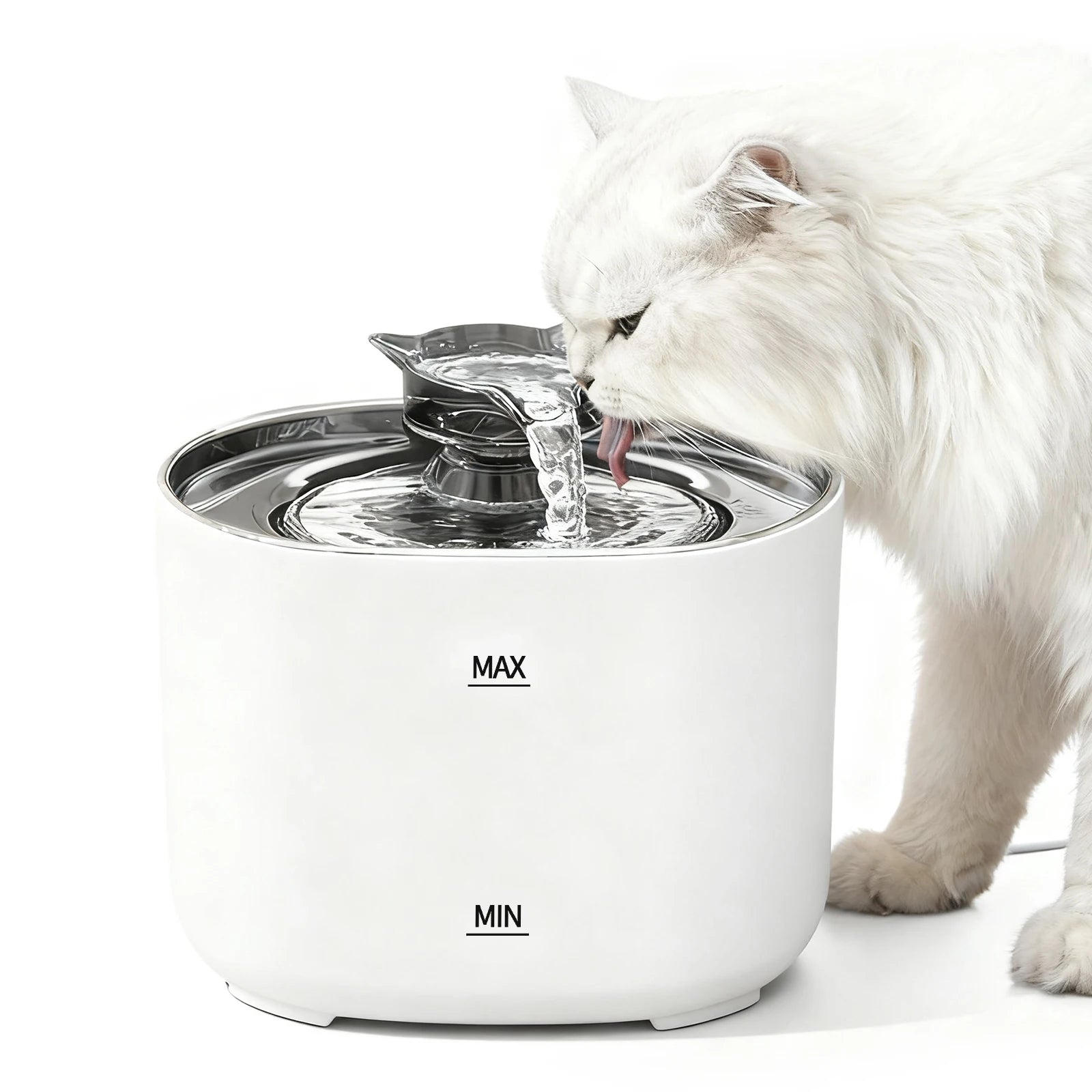 Fontaine à eau pour chat blanche, bol circulaire, eau visible, chat buvant