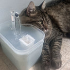 Fontaine à eau automatique pour chat et chien en plastique blanc, bec métal et bol.