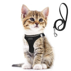 Harnais de chat noir en mesh respirant avec laisse