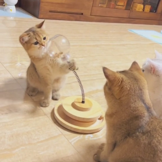 Distributeur de friandises interactif pour chat en bois naturel avec herbe à chat en vidéo