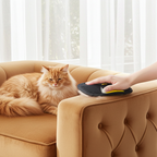 Gant anti-poils électrostatique sur main, brossage d’un chat sur canapé